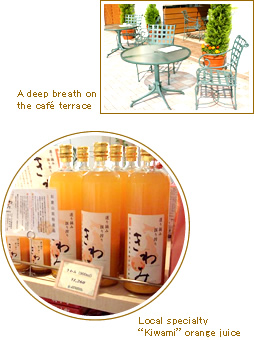 A deep breath on the café terrace |Local specialty “Kiwami” orange juice 