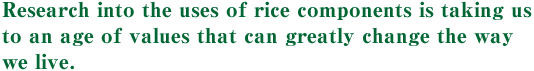 Research into the uses of rice components is taking us to an age of values that can greatly change the way we live. 